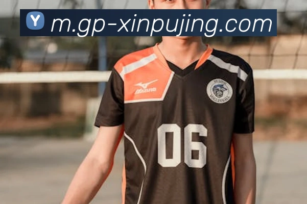 澳门新葡京娱乐平台生态图