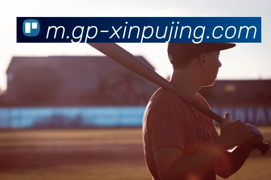 澳门新葡京娱乐APP 封面图